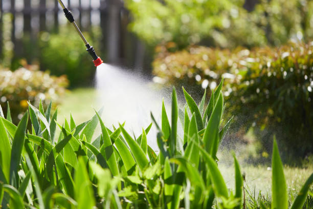 24/7 Emergency Termite Control experts in Lazy Mountain, AK