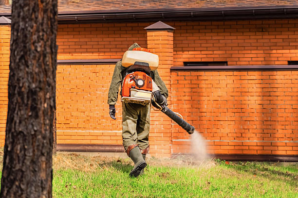 Trusted Termite Control service in Lazy Mountain, AK - Nex Pest Control